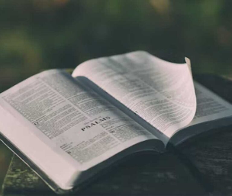 Event: Carson Sunday